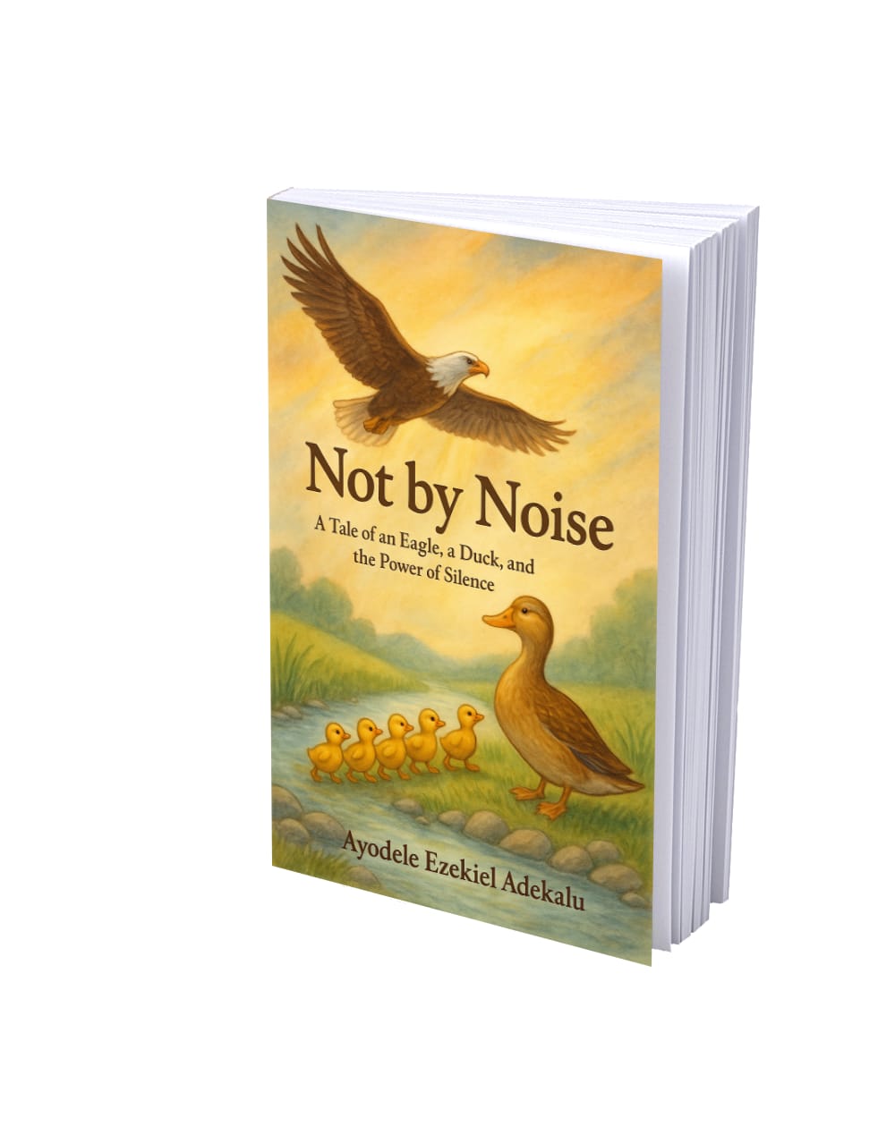 Not By Noise